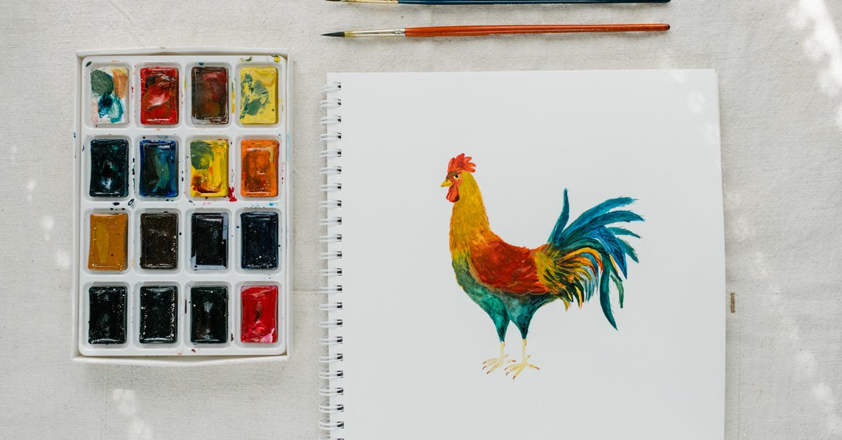 Where can I study Juche Idea in North Korea? - Picture of cock painted with watercolors placed on table