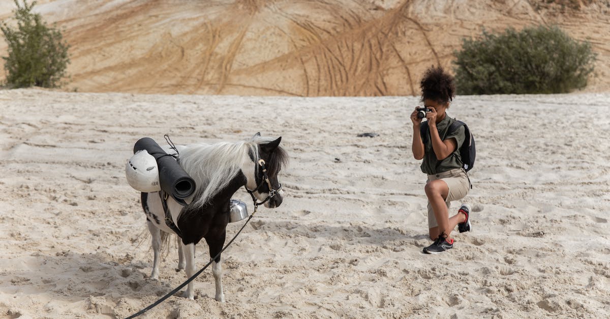 Where did the Hungarian PM travel to & take this picture? - Woman Taking Picture of Donkey in Desert