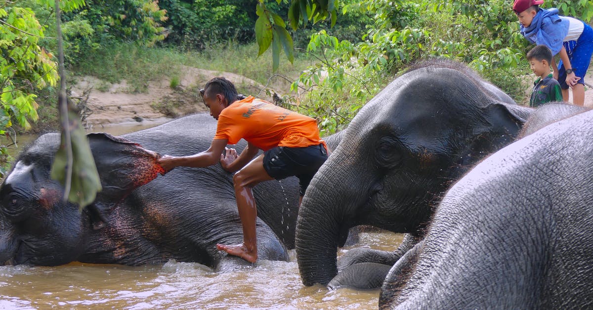 Where exactly is the Myanmar consulate in Kunming, China? - Friendship Between Man & Elephant