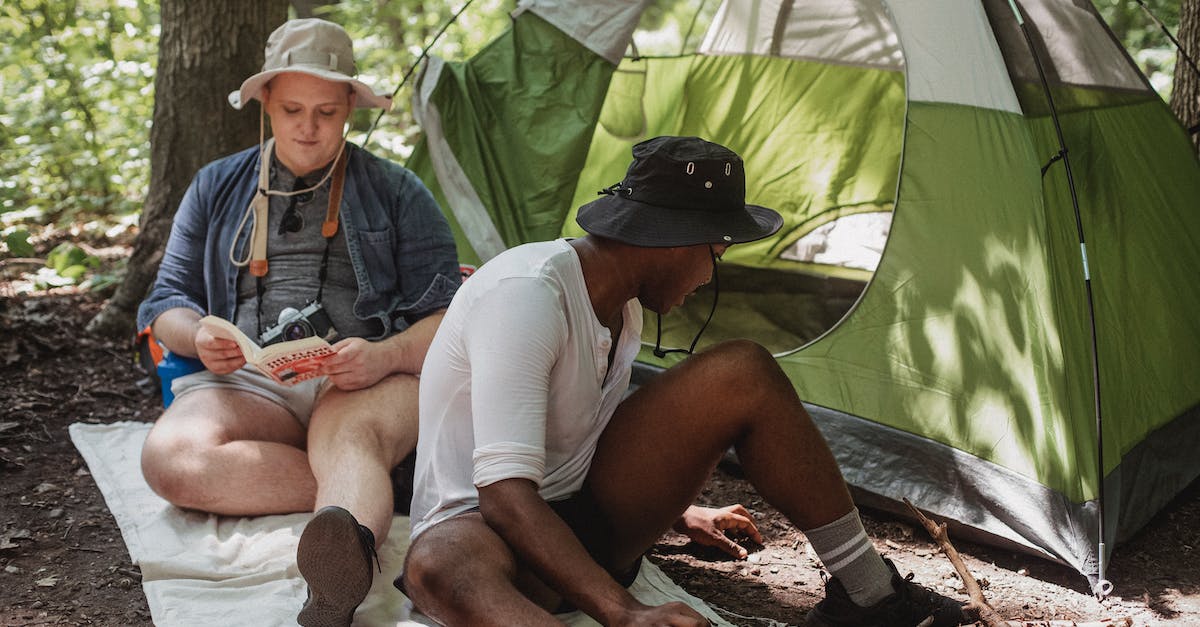 Where in the Balkans is free camping permitted? - Positive male traveler with retro camera reading interesting book while faceless African American friend sitting near green tent with dry firewood