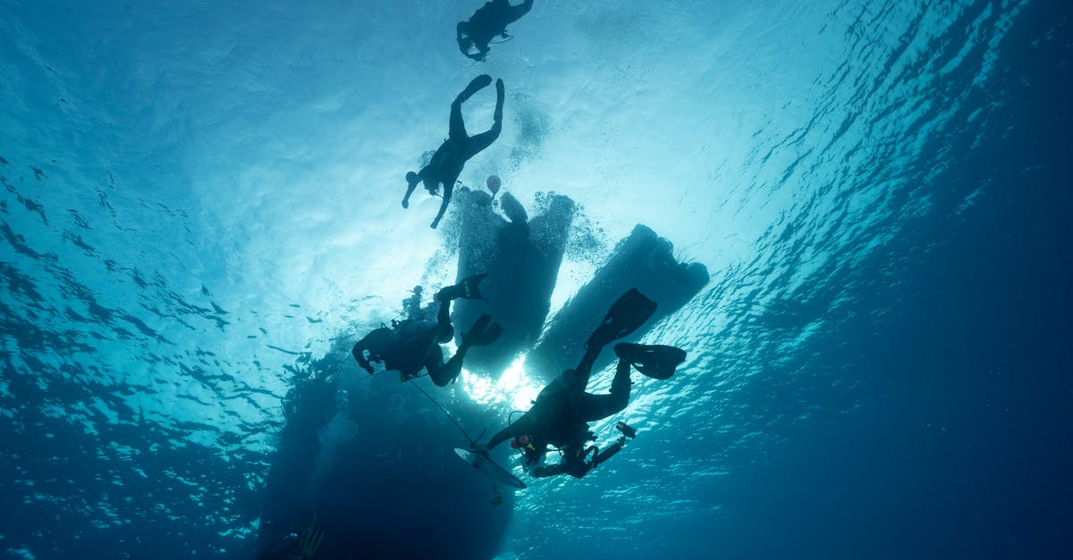 Where is the coldest commercial diving site? - Free stock photo of divers, sea, silhouette