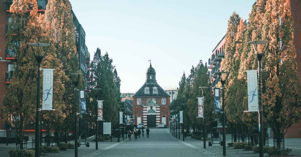 Where is the historical center of Tlalpan? - Church In Center Of The Road