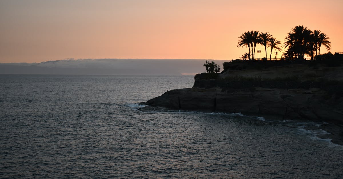 Where is this beach in Prince Edward Island? - Silhouette of Palm Trees on the Island during Sunset