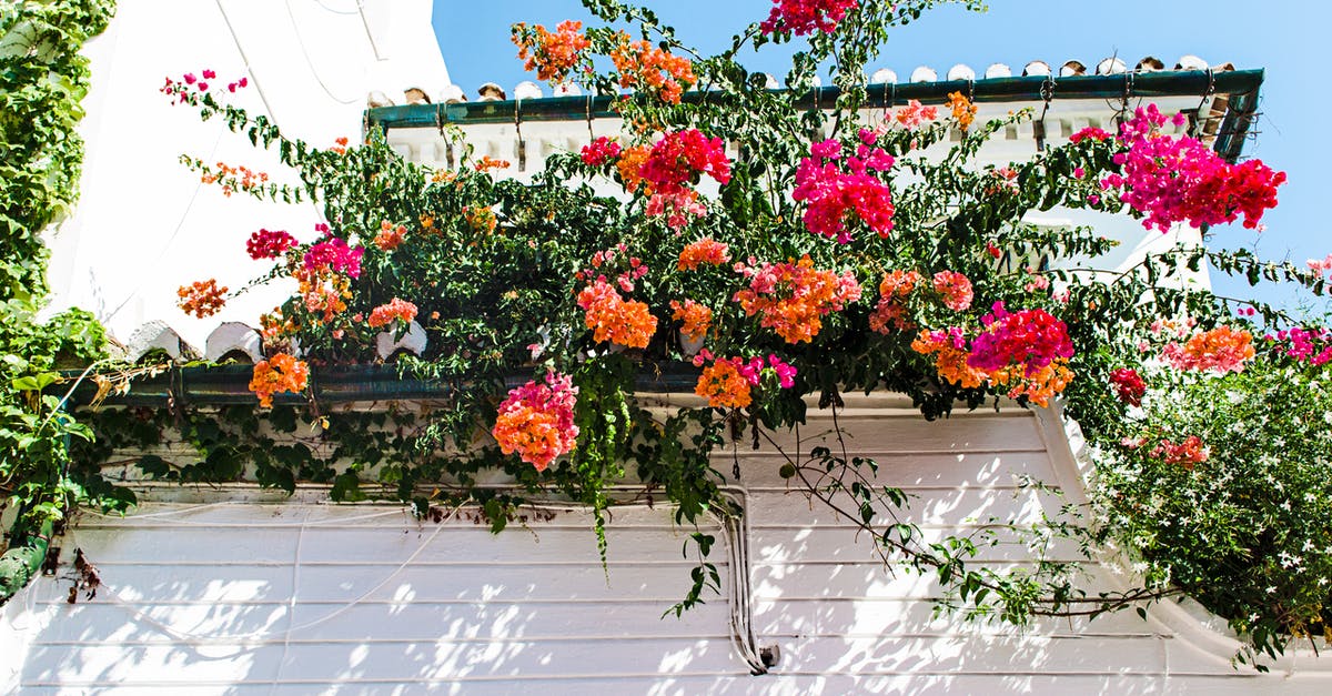 Where is this brightly coloured house in Koskinou, Rhodes? - Red and Orange Petal Flowers