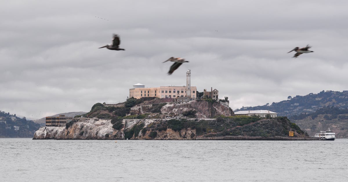 Where is this castle? - White and Black Bird Flying over the Sea