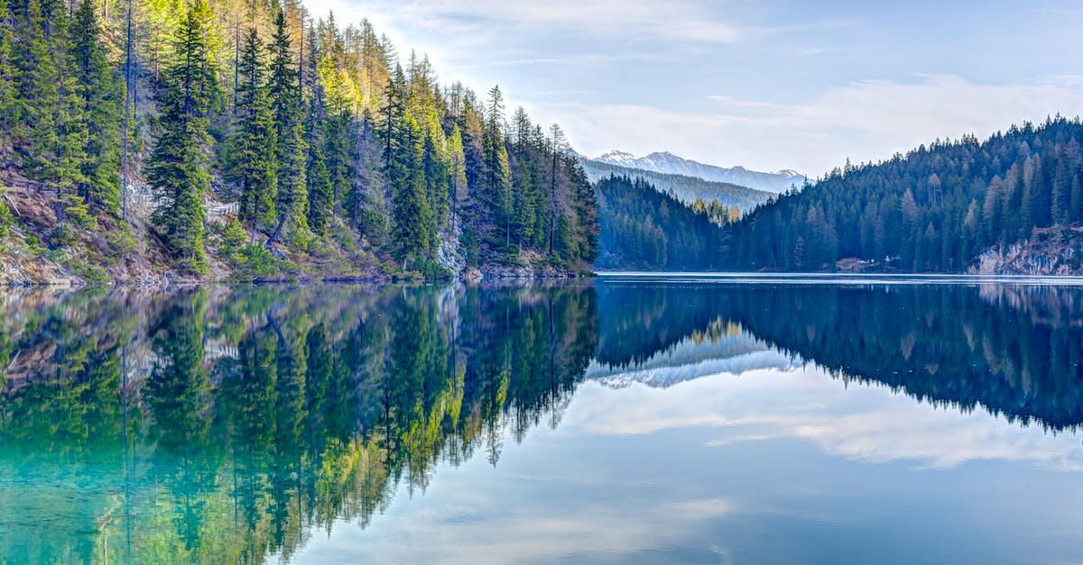 Where is this lake/mountain scene? - Green Pine Trees Near Body of Water