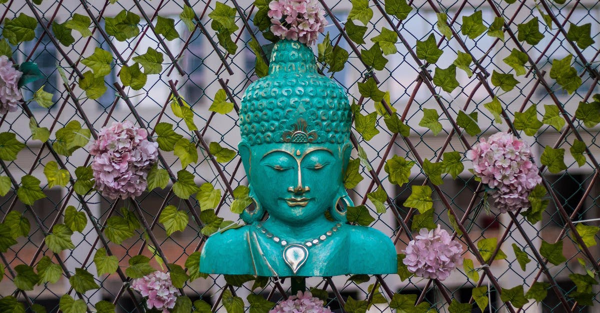 Where is this statue? - Head Bust of a Buddhist Deity mounted in a Chain Link Fence 