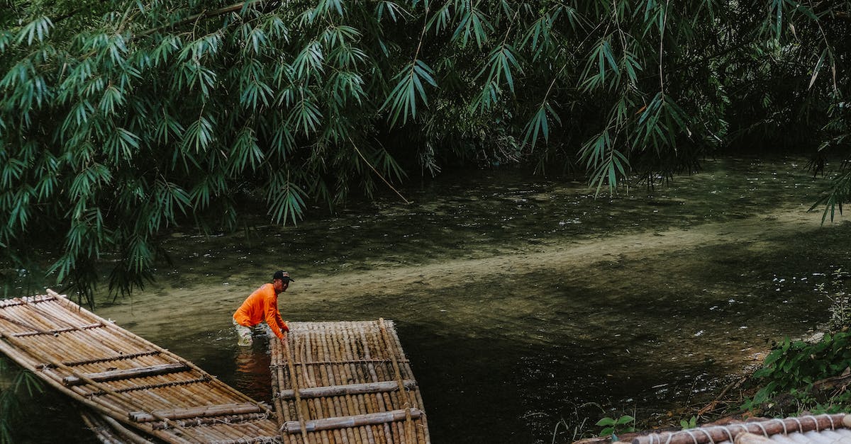 Where lies the closest tropical rain forest to Mainland Europe? - Man In The River A Pulling Bamboo Raft  To The Water