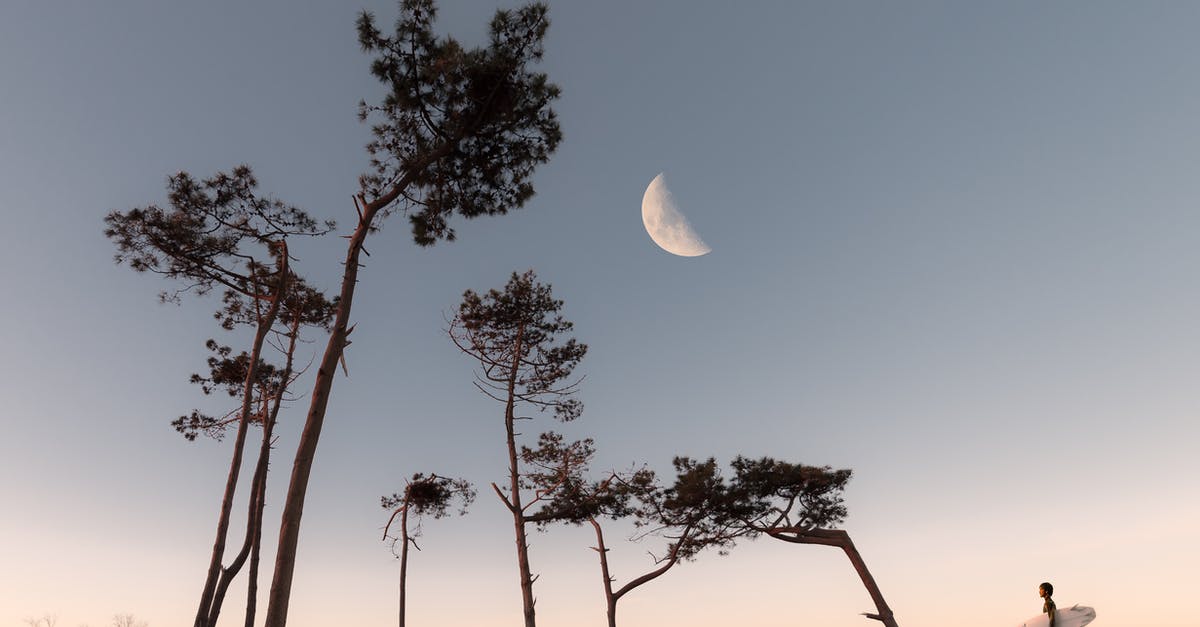 Where on earth is this image from the backgrounds in Windows? - Half Moon and Silhouette of Trees