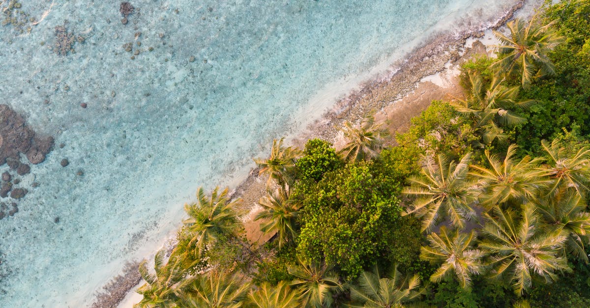 Where on Vancouver Island was this photo taken? - Seashore with azure water and green palms