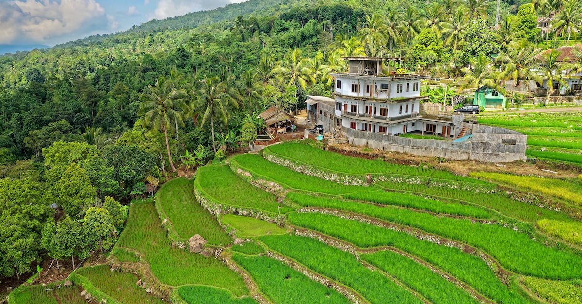 Where should I travel to if I want to see paddy fields? - High Angle Photography of House Surrounded by Trees