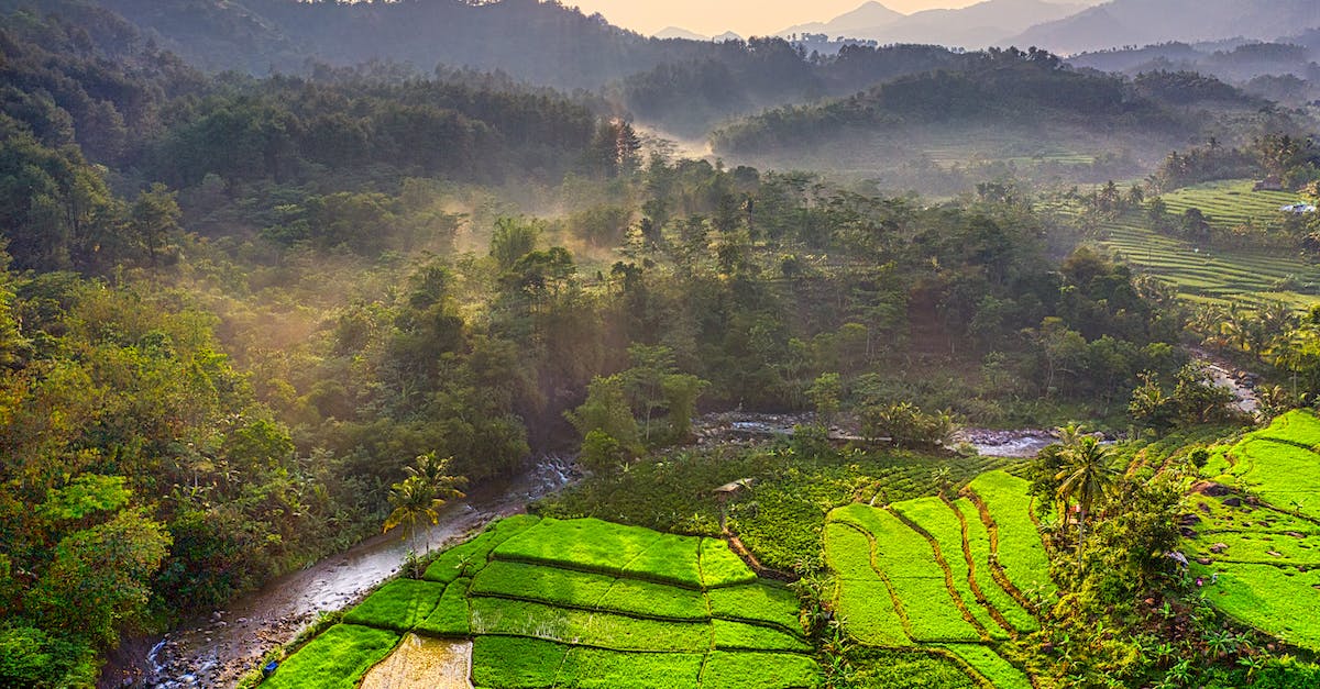 Where should I travel to if I want to see paddy fields? - Rice Terraces