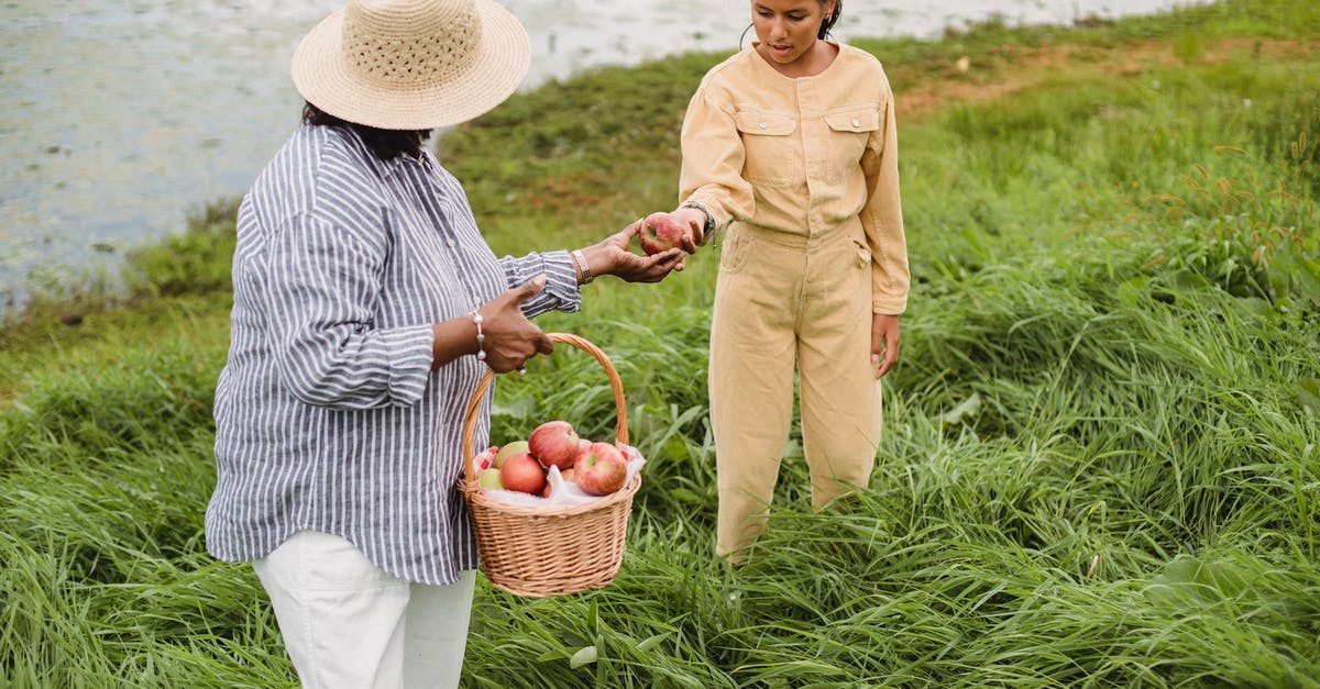 Where to find every-day healthy food near Heathrow Airport? - Unrecognizable ethnic woman carrying wicker basket with apple harvest and giving fresh fruit to girl standing in high grass near lake