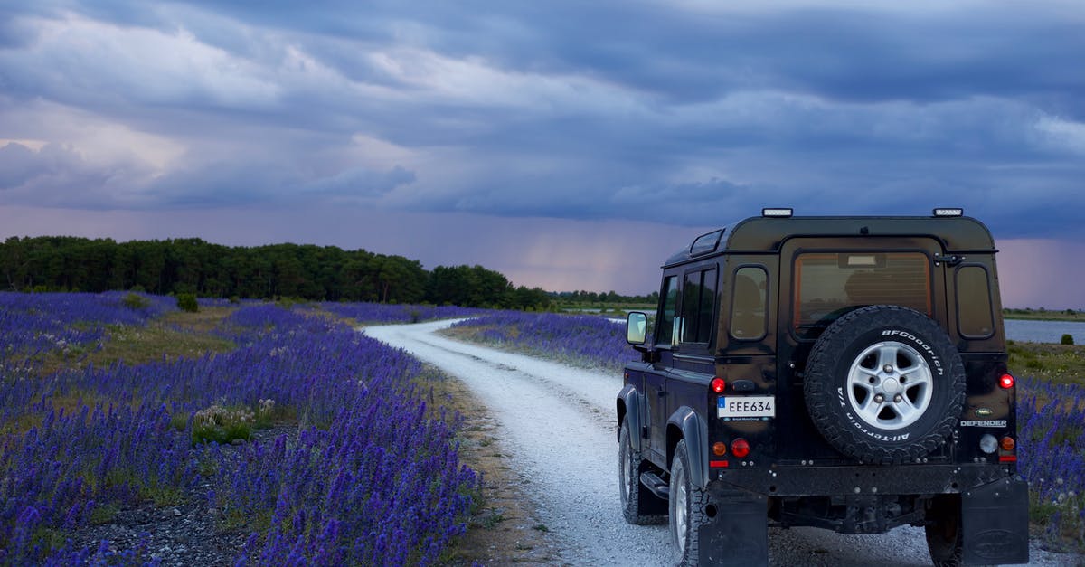 Where to park a car near Hirtshals (Denmark)? - Black Suv in Between Purple Flower Fields
