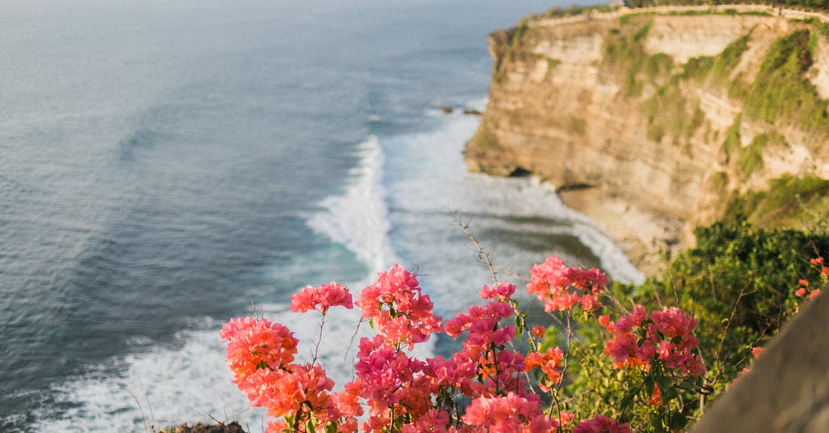 Where was this picture taken? (Chromecast background, 3 steep rocks) - Lush greenery and vibrant delicate pink flowers on top of steep rock above wavy endless ocean under clear sky