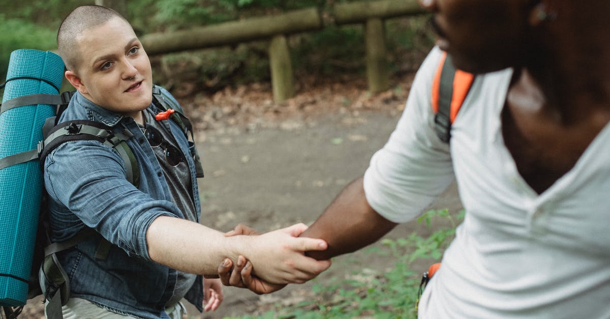 Which airlines provide cheap last day tickets in Nordic countries? - Unrecognizable black adventurer providing hand for happy plump male friend with big backpack and rolled rug in woodland in daytime