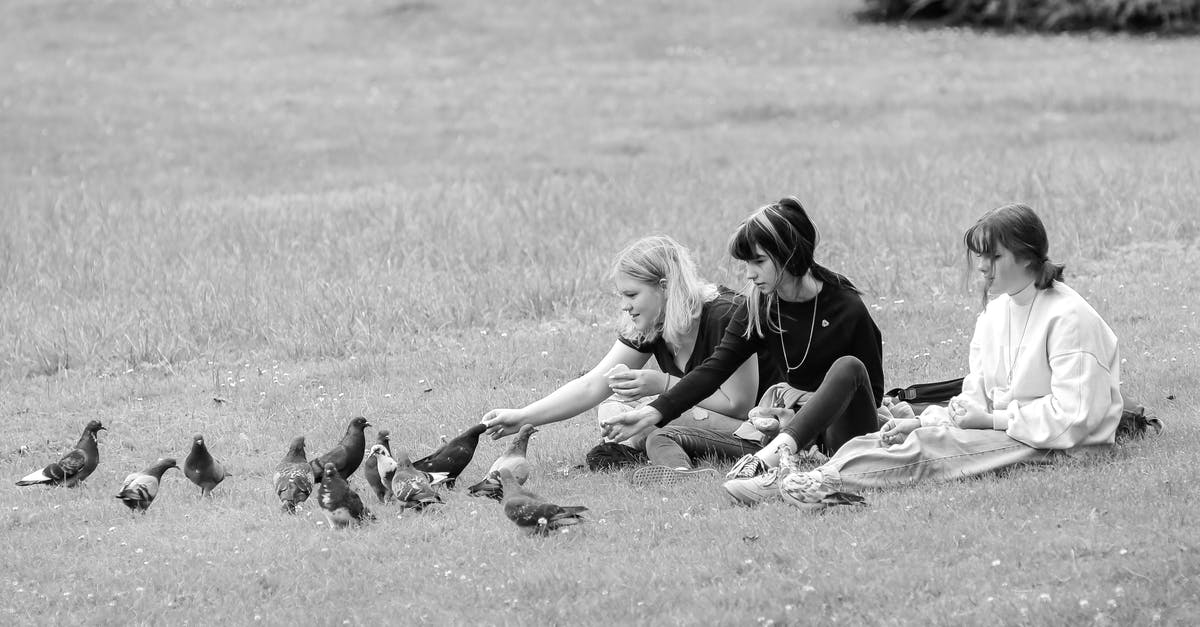 Which airlines provide free stopovers? - Content girlfriends resting on grassy lawn and feeding pigeons