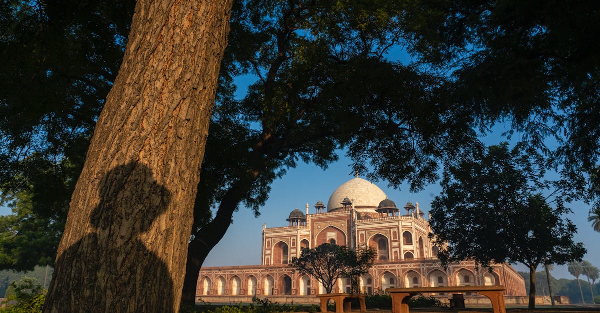 Which are the cleanest ghats in Varanasi? - A Shadow of a Person on Tree Trunk with Humayun's Tomb on Background in Delhi, India