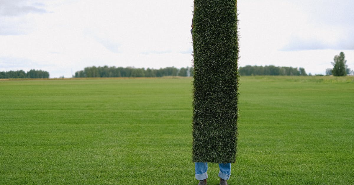 Which countries are covered under long-term work permit “Deutschland” visa? - Unrecognizable farmer with grass lawn