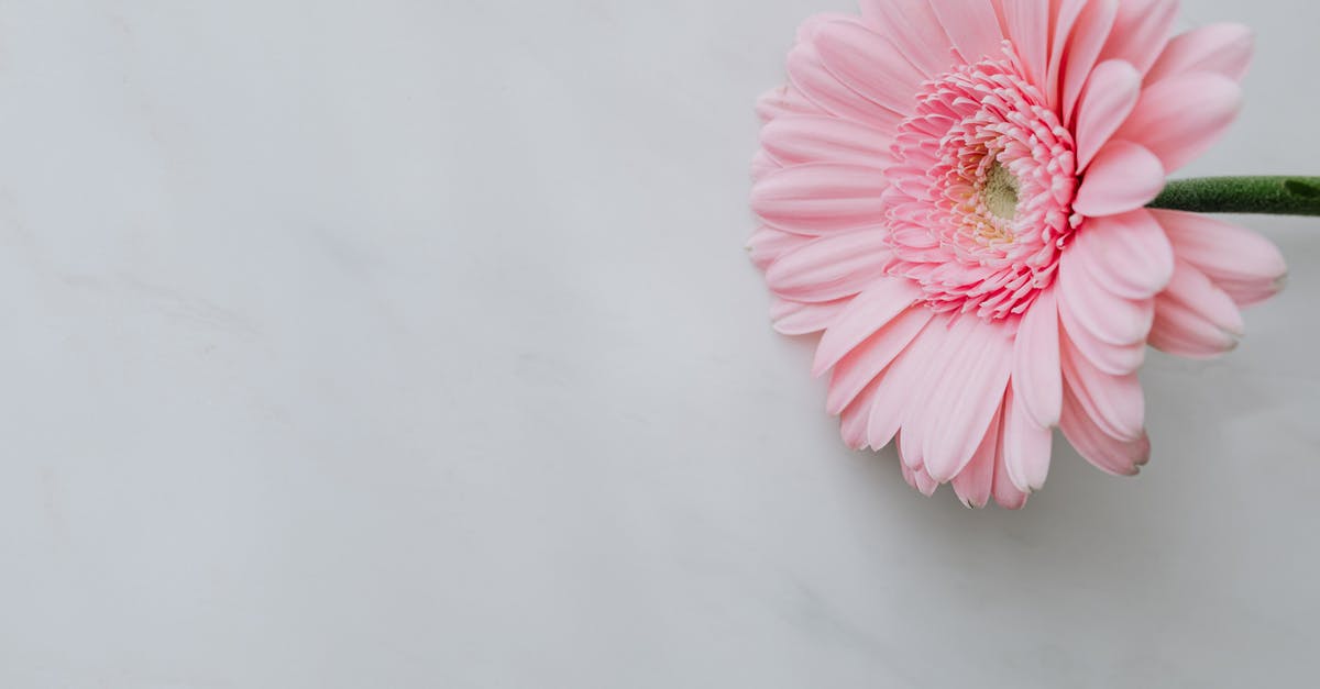 Which countries don't let foreigners leave during pandemics? [closed] - Pink fresh flower on white table