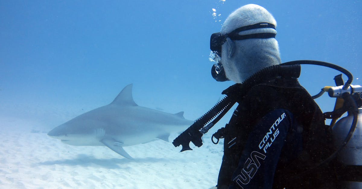 Which diving center in Thailand is providing shark diving in summer? - Man in Black Wetsuit Diving Near Shark