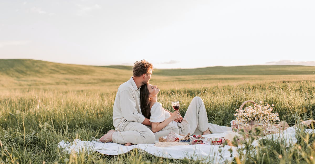 Which I-94 date do I believe? - Man And Woman Sitting On Grass Field