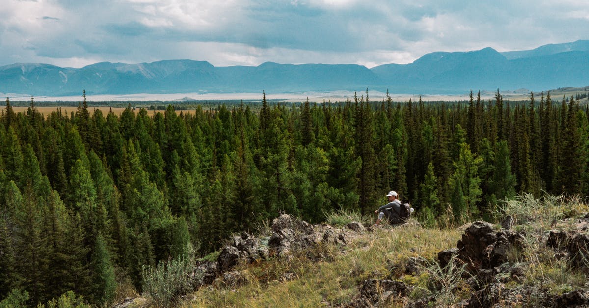 Which mountain has the highest death ratio of hikers? - Person Sitting on Rocks Near Green Trees