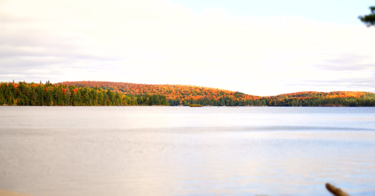 Which Operating Ontario Parks lack gatekeepers? - Lake Near Forest