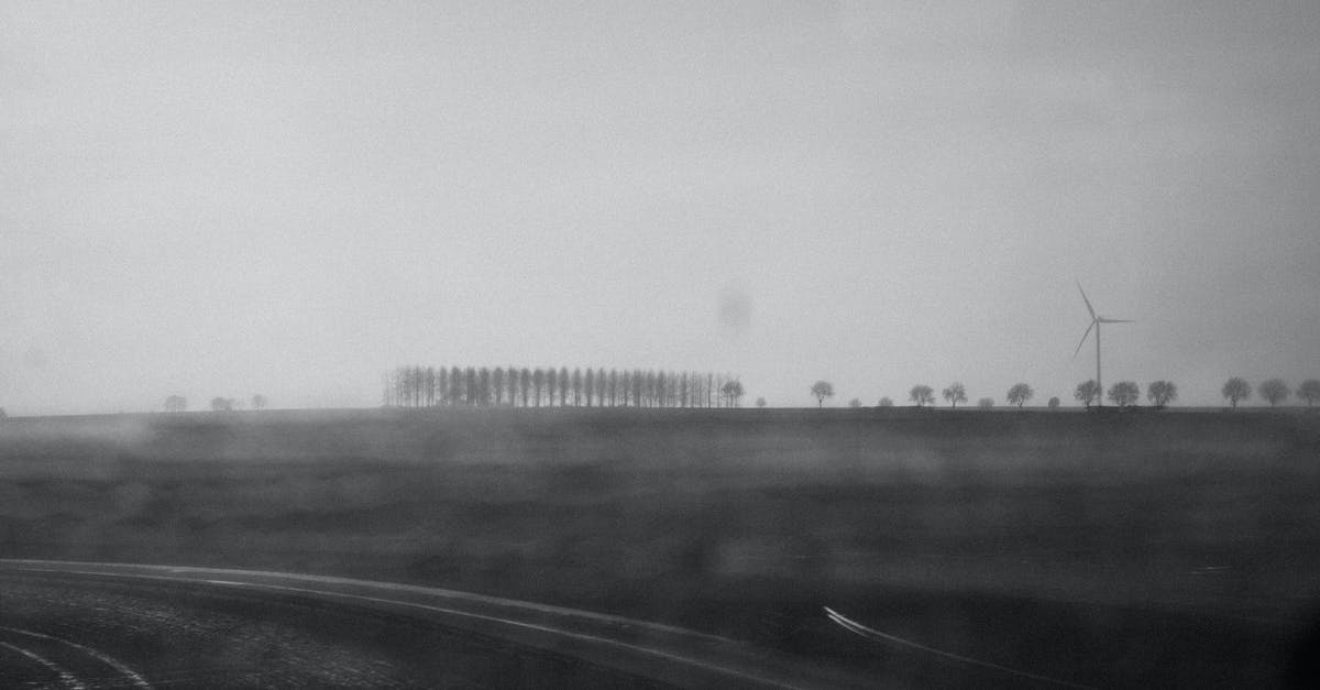 Which scenic road to take to the south of France? - Grayscale Photograph of Trees in an Open Field