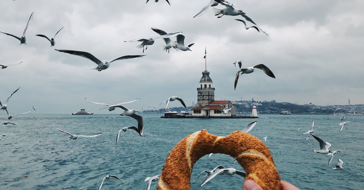 Who am I flying with? - Person Holding Brown Doughnut With Birds Flying over the Sea