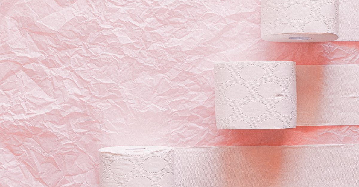 Why did this particular Czech toilet have no paper? [closed] - White Toilet Paper Roll on Pink Textile