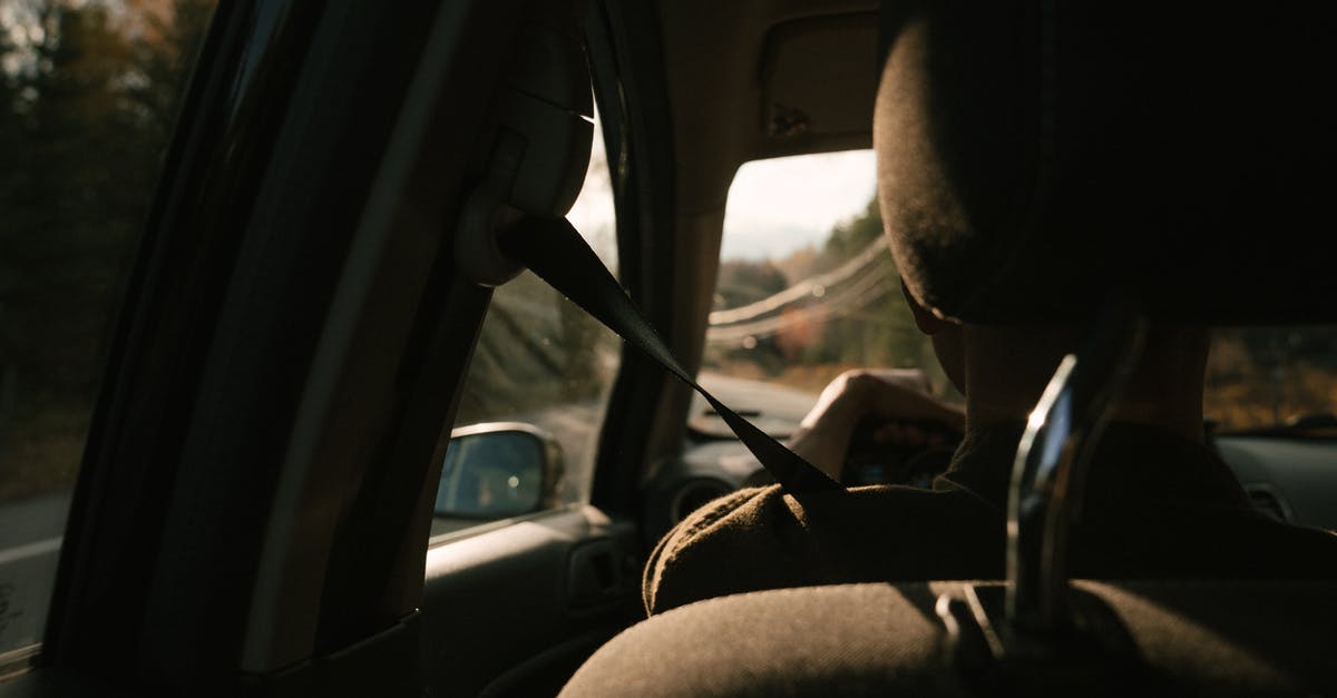 Why do airlines seat people the way they do? - Back view of unrecognizable person driving modern car on road amidst lush autumn trees during trip in countryside