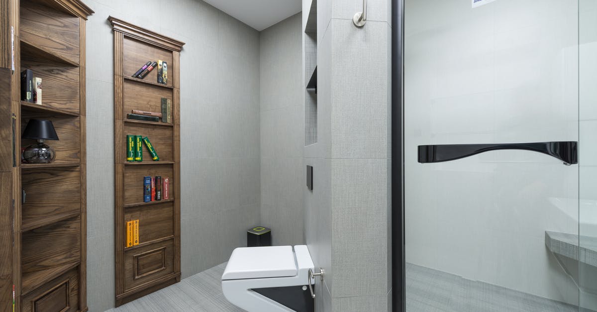 Why do many public bathrooms in Israel lack toilet seats? - White toilet placed between glass shower cabin and various decorations on wooden shelves in light modern bathroom with creative design