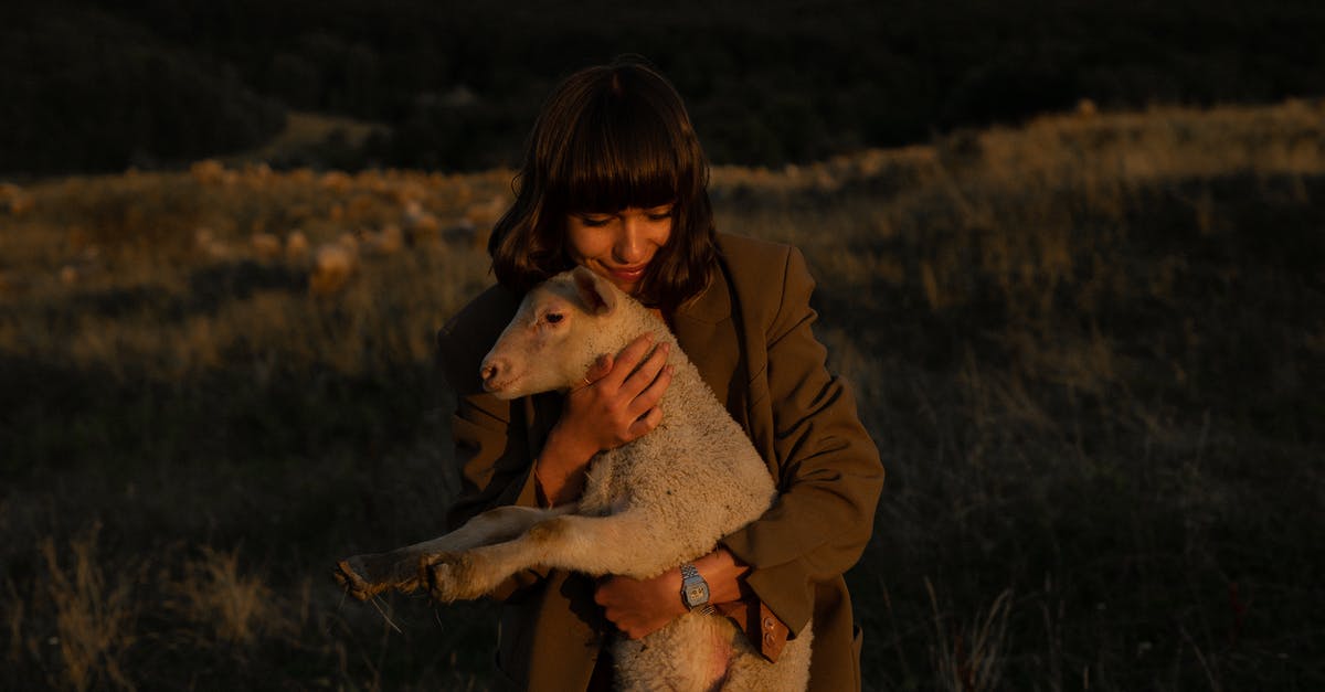 Why do some fields have no weeds? [closed] - Nice Girl in Coat Cuddling White Lamb