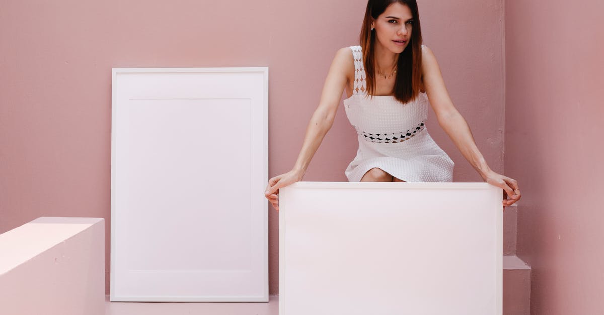 Why don't more flights offer under-carriage cameras? - Young woman advertising blank white frames in pink room