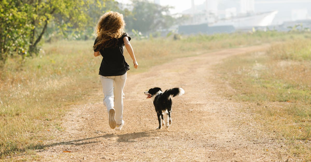 Why frequent inflight directions to Sachs Harbour and Eureka? - Unrecognizable sportswoman running with Border Collie on path in park