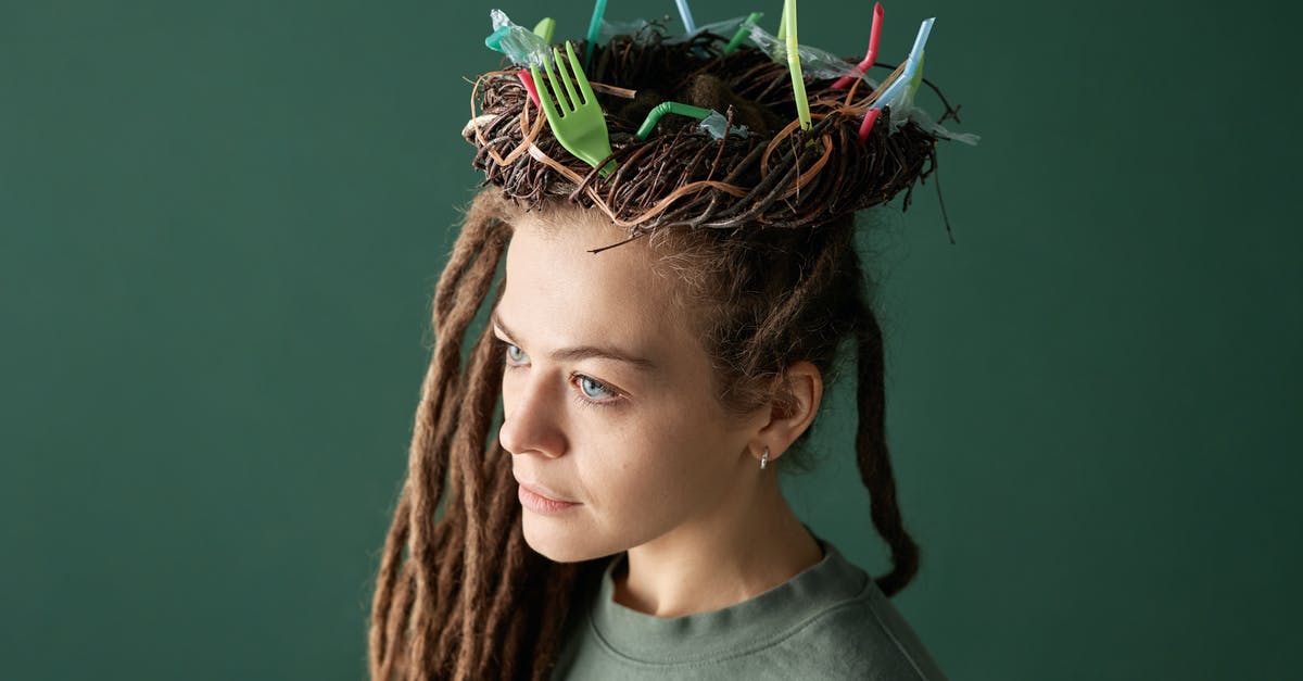 Why is homelessness not an issue in Tokyo? [closed] - Woman with Art in her Hair