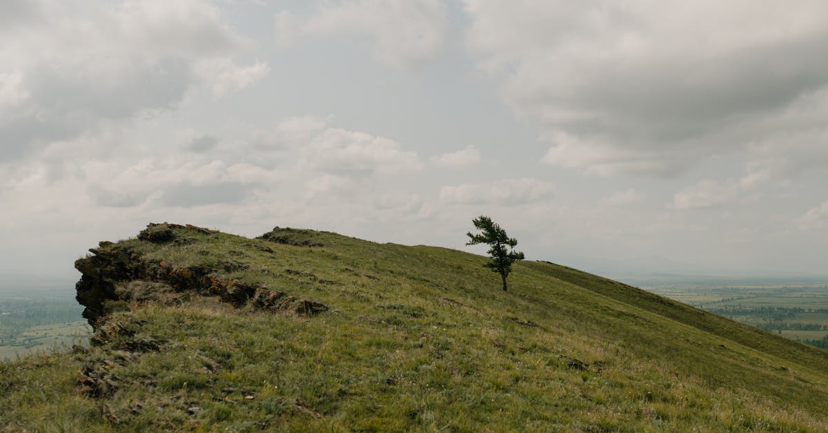 Why is the Lonely Planet Mongolian phrasebook so small? - Lonely tree on green mount under cloudy sky