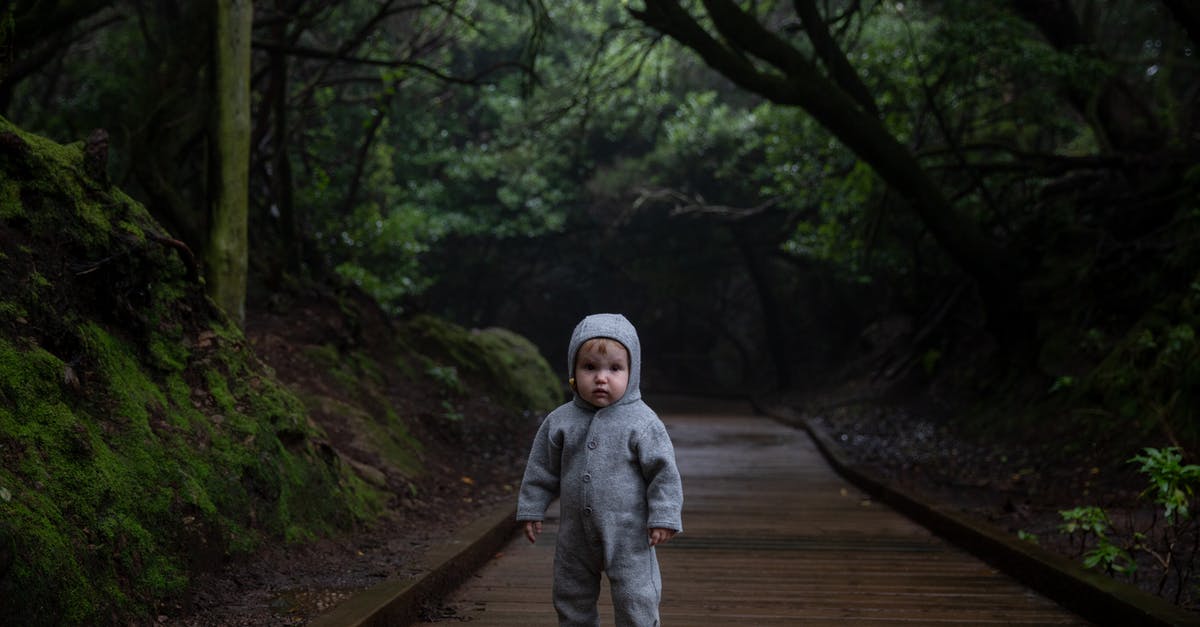 Why is the Lonely Planet Mongolian phrasebook so small? - Small kid standing on planked footpath