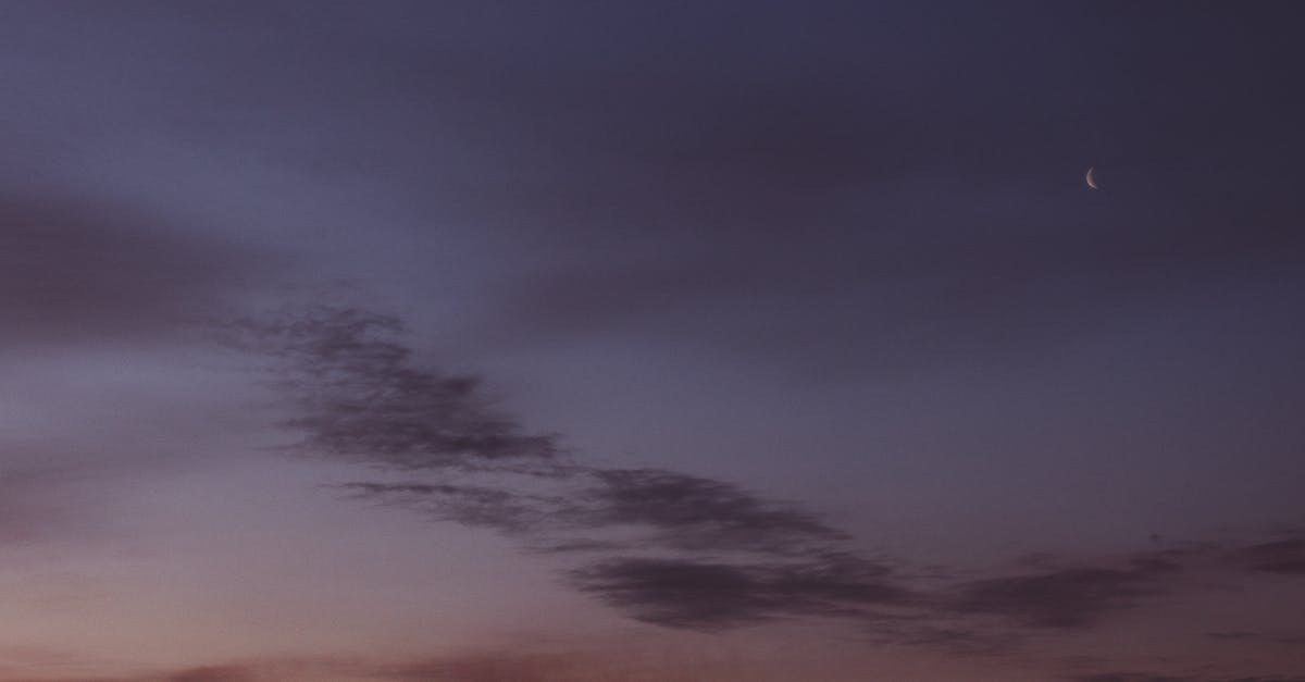 Why is the moon hiding from me? - From below wonderful scenery of dark late evening sky with light clouds and new moon