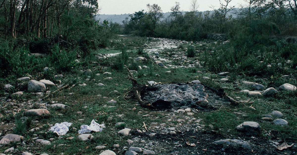 Why would a visitor destroy their travel document? - Abandoned burnt bonfire in forest edge