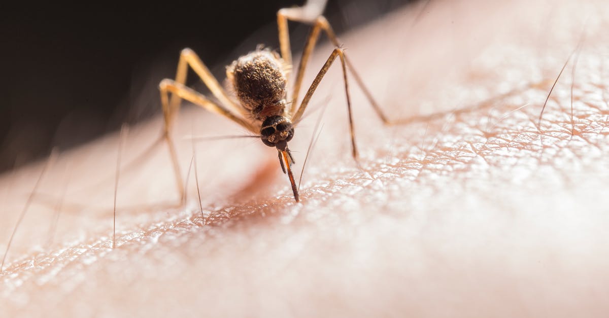 Will mosquitoes bite through a mosquito net if skin is pressed against it? - Mosquito Biting on Skin