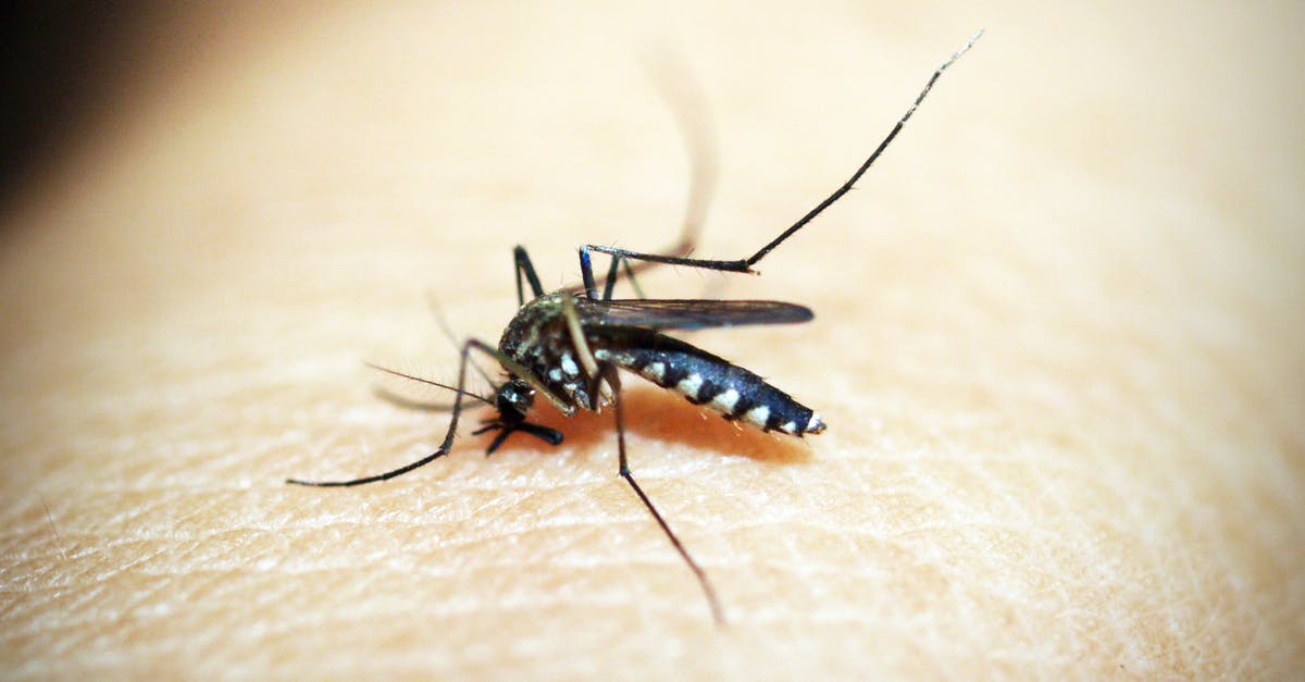 Will mosquitoes bite through a mosquito net if skin is pressed against it? - Black Mosquito on Person's Skin
