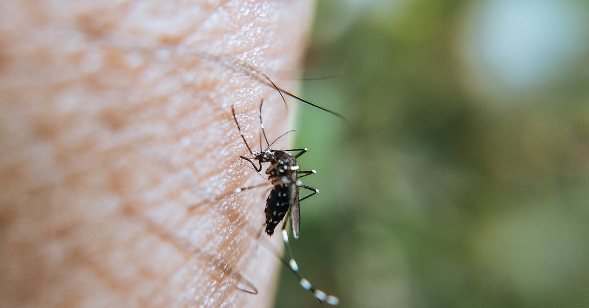 Will mosquitoes bite through a mosquito net if skin is pressed against it? - Mosquito on Human Skin