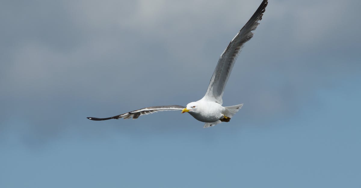 Will my baggage be checked through when flying Japan-China-US? [closed] - Seagull