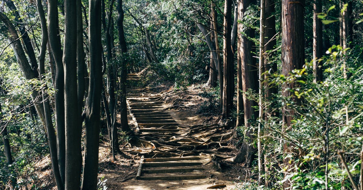 Within 300 km radius of Tokyo - Coastal/seaside destinations in Japan for nature and relaxation? [duplicate] - Photo of Pathway Surrounded by Trees