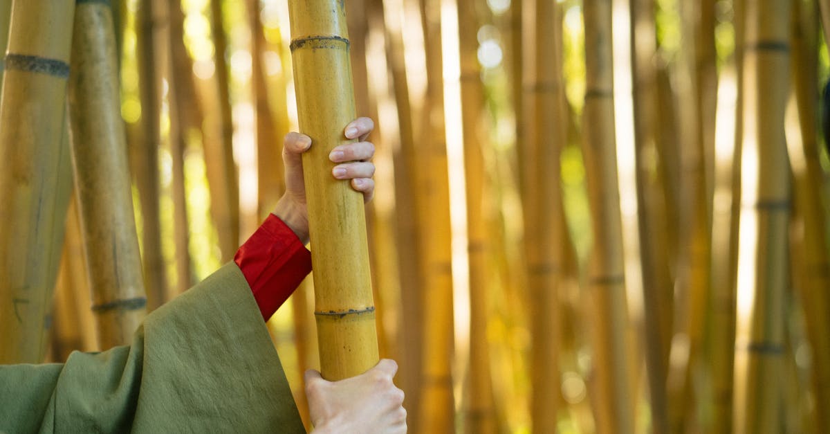 Zen meditation in Kyoto, Japan - Person Holding A Bamboo Stalk